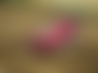 VW Africa Indaba 2026: Ducati South Africa Ignites 2026