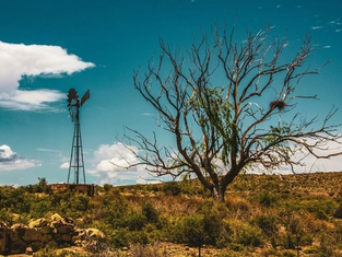 South Africas G20 Presidency Marks Key Progress On Climate Cooperation And Clean Energy For Africa