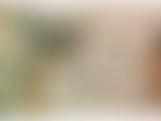 Bold steps taken with Medium-Term Budget Policy Statement are encouraging