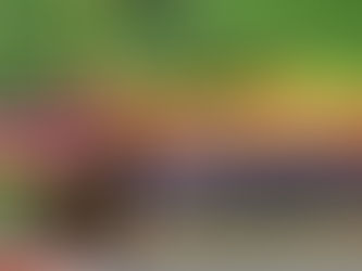 Most engaging World Athletics Championships in history finishes on a high in Budapest