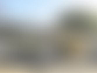 Higher Education: UFS and Fort Hare burn while Akademia builds