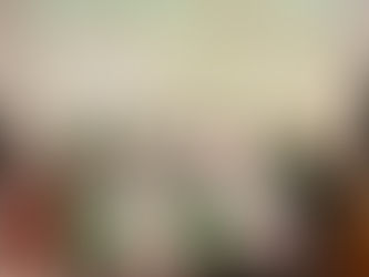 Freedom Front Plus documentary on Kleinfontein sets the record straight