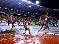 Global champions face off in Doha steeplechase