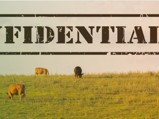 Minister of Agriculture unexpectedly removes expert from ministerial task team