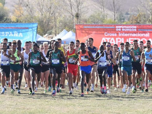 Countdown to the World Cross Country Tour Gold