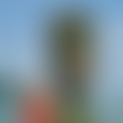 Tourism sector steps up as confidence in SA Tourism wanes: yet another argument for less state control