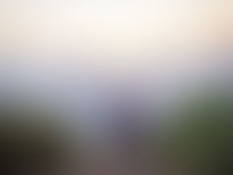 Lace up for off-road Magic at the 2026 Totalsports Two Oceans Marathon Trail Run