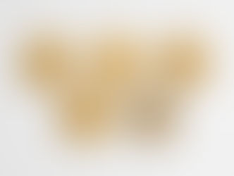 Nurmi's five Paris 1924 Olympic golds make historic return for Paris 2024