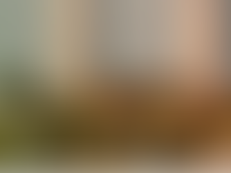 Mpumalanga Premier should use SOPA to demonstrate that residents come first