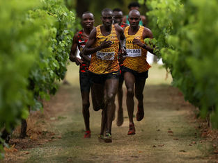 Entry lists for WXC Belgrade 24 published