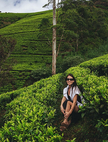 Tea plantation - Nuwara Eliya