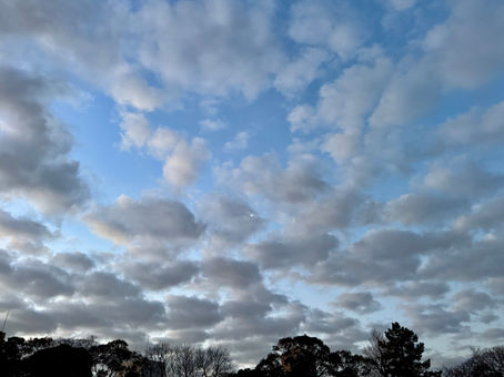 Waking Up from the Dream of Concepts