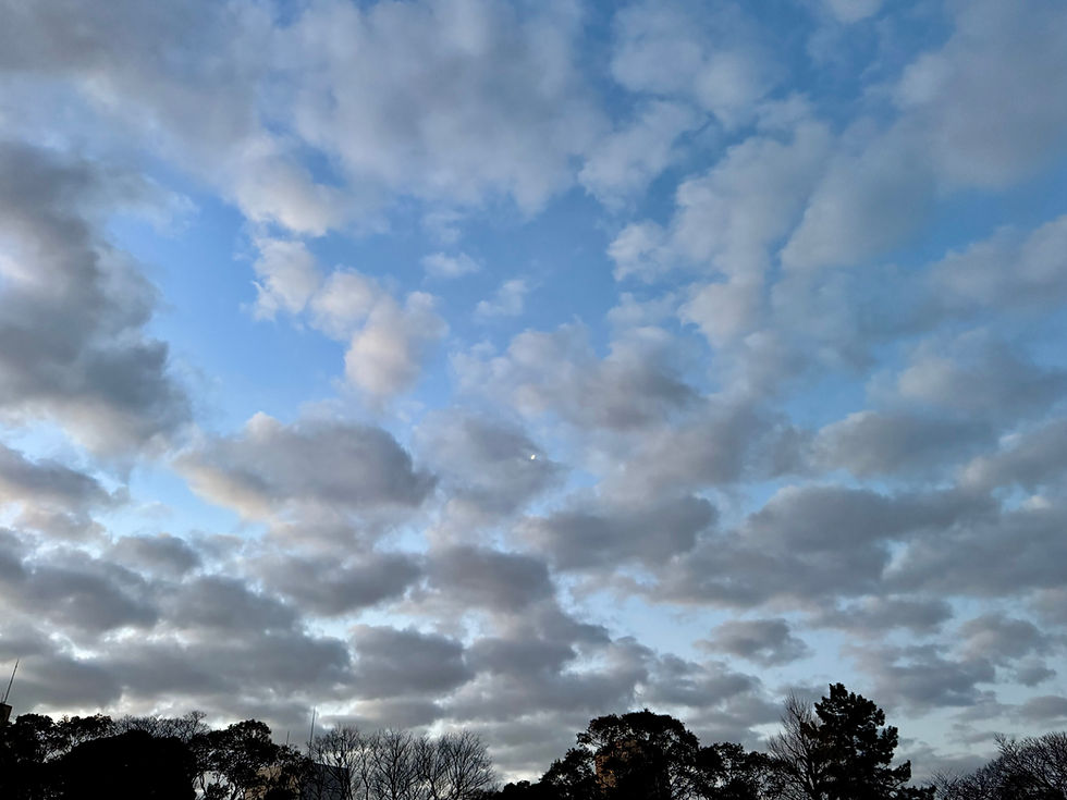 Waking Up from the Dream of Concepts