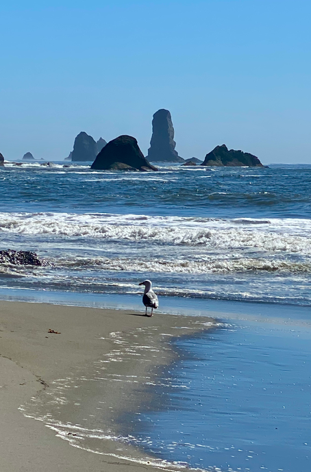 Stillness in the Waves