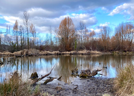 Soft Gaze and the Eye of Your Mind: Seeing Without Trying to See