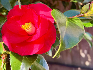 Liberation from the Religion of Self —  Perhaps the World Feels Heavy Because You’re Standing Too Much at the Center