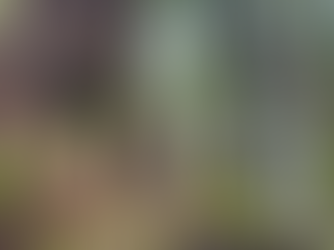 Beyond Isolation: The Zen Way of Interdependence