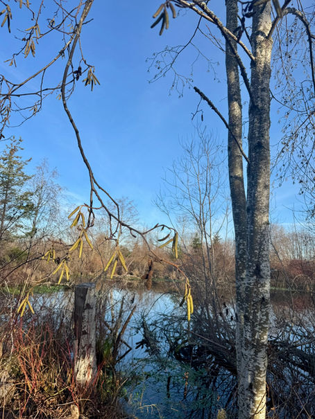 Self-Compassion — The Kindness of Gently Leaving It