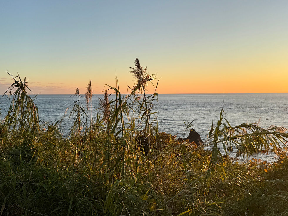 Still, the world begins here—Seeing the world just as it is