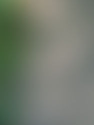 Unveiling the Illusions of Suffering: Finding Truth in the Present Moment