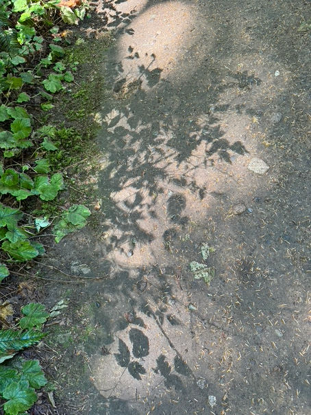 Unveiling the Illusions of Suffering: Finding Truth in the Present Moment