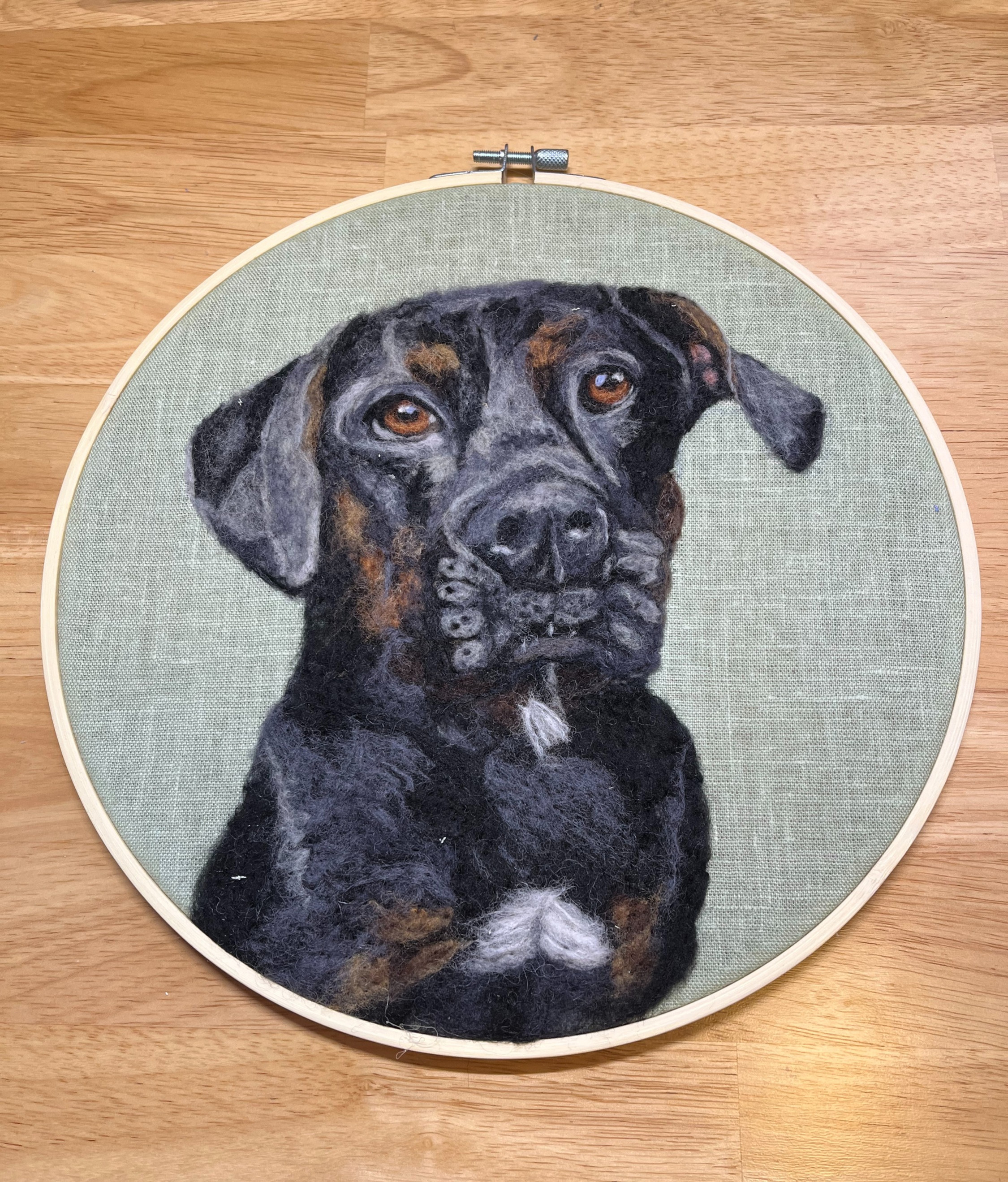 Animal Portraits