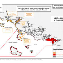 Interdiction temporaire de pêche aux coquillages à Billiers