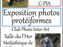 Exposition photos protéiformes