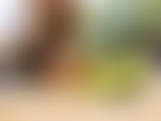 How to optimise your photos for SEO