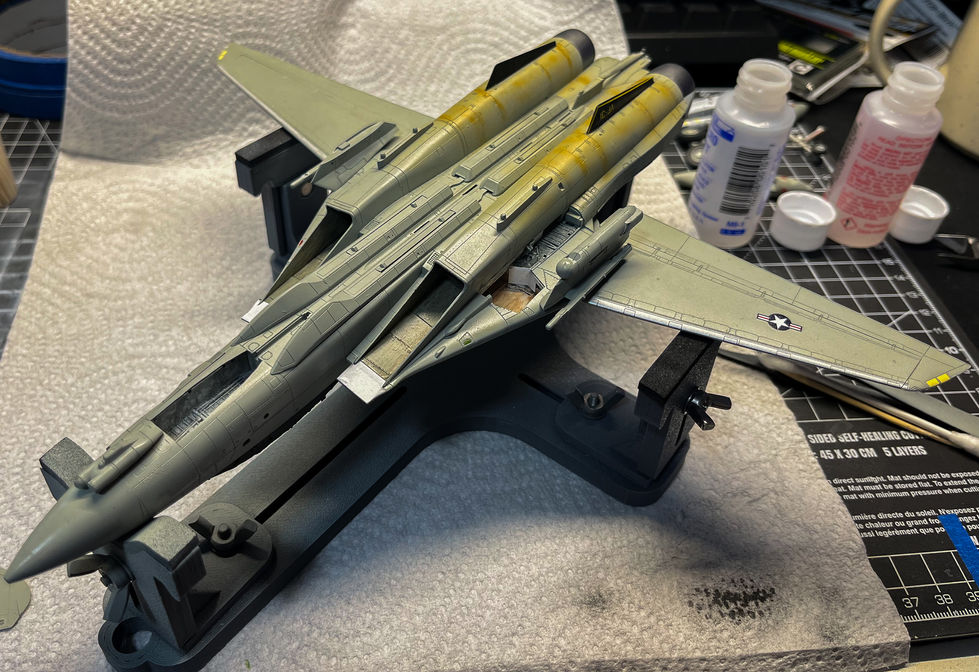 Grumman F-14D Tomcat WIP - Paint/ Decals