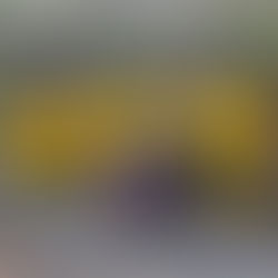 Abschlusssieg gegen SpVgg Erlangen und Vize-Meister der Bezirksliga.