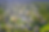 Untitled-19.png