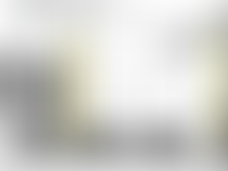 Cortinas de seguridad industrial (Barreras de luz)