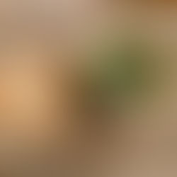 メリークリスマスイブは、新大阪の洗濯をしに…。