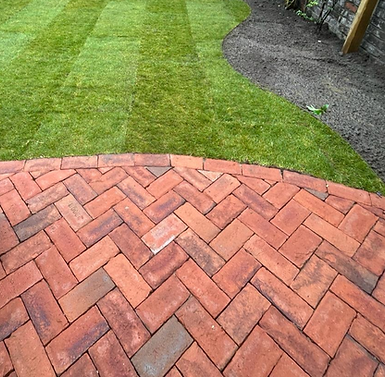 Avian Garden 001_edited.png