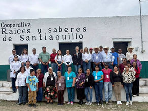 La UAT consolida proyecto de aprovechamiento del laurel para el emprendimiento rural