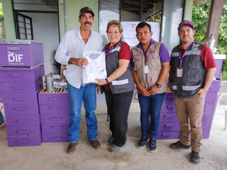 DIF Tamaulipas impulsa proyecto de “Producción Sostenible de Miel” en comunidades rurales