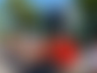 Programa de Turismo Social lleva a adultos mayores a pasear a El Chorrito en Hidalgo, Tamaulipas