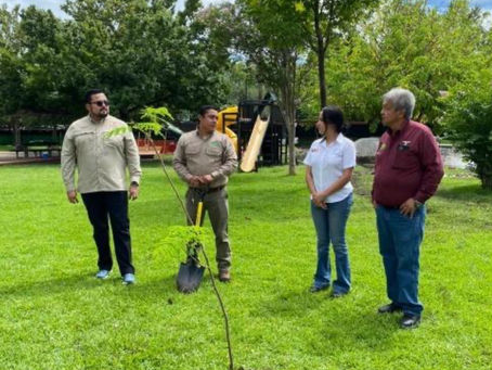 Consolida la UAT su compromiso con el medio ambiente a través de la Facultad de Ingeniería y Ciencias