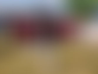 Finalizan Olimpiadas Estatales de judo, tenis de mesa, tenis y futbol varonil