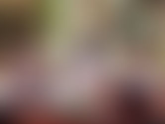 Lanzan el programa “UAT en Vivo" en el Centro Universitario Victoria