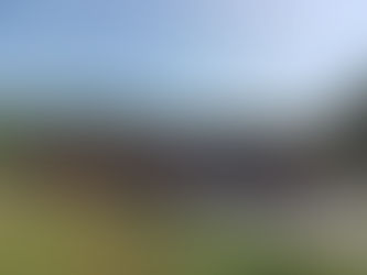 Invitan a descubrir la magia del Día de Muertos, en el Festival Cultural de la Mariposa Monarca