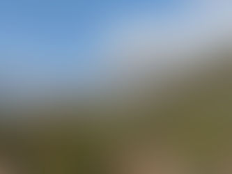 Inician labores de combate en incendio forestal en el ejido Joya de Herrera, Bustamante