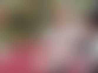 Llega coordinadora nacional de PC al sur de Tamaulipas ante emergencia por lluvias