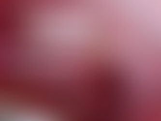 Entregará INFONAVIT mil 395 casas en Tamaulipas; será la entidad más beneficiada