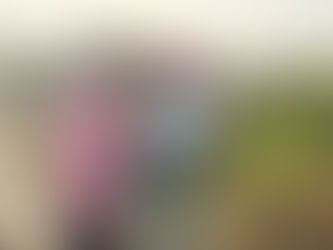 Colabora la UAT en la conservación del mangle en el litoral tamaulipeco