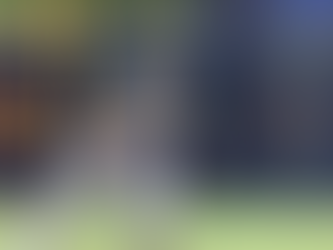 Pericos: El campeón busca acercarse a la cima