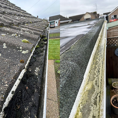 gutter cleaning