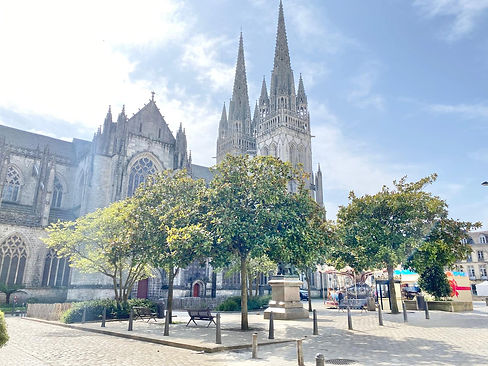 WhatsApp Image 2026-01-26 at 16.36.30 (2).jpeg