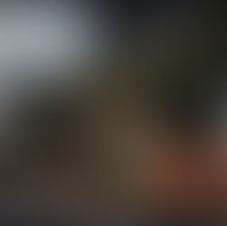 Landslides in Wellington: What Causes Them and How to Prevent Damage